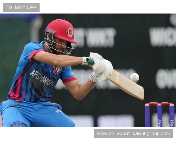 澳大利亚板球联赛精彩纷呈，各队激烈角逐，板球 澳大利亚